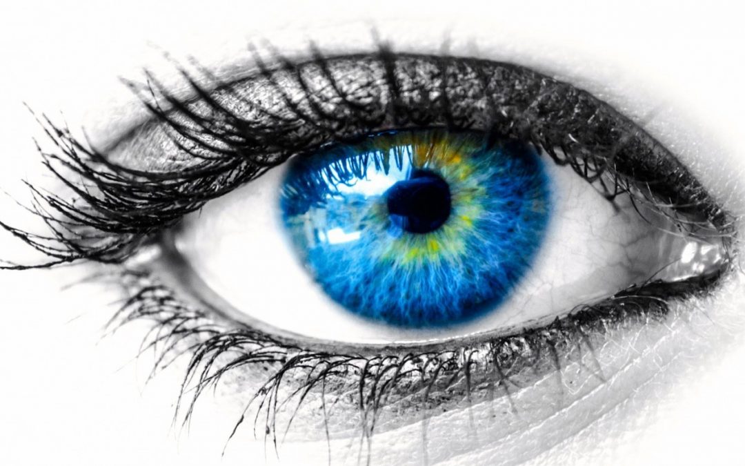 NEW EYE EXAMINATION – CORNEAL ENDOTHELIAL MICROSCOPY
